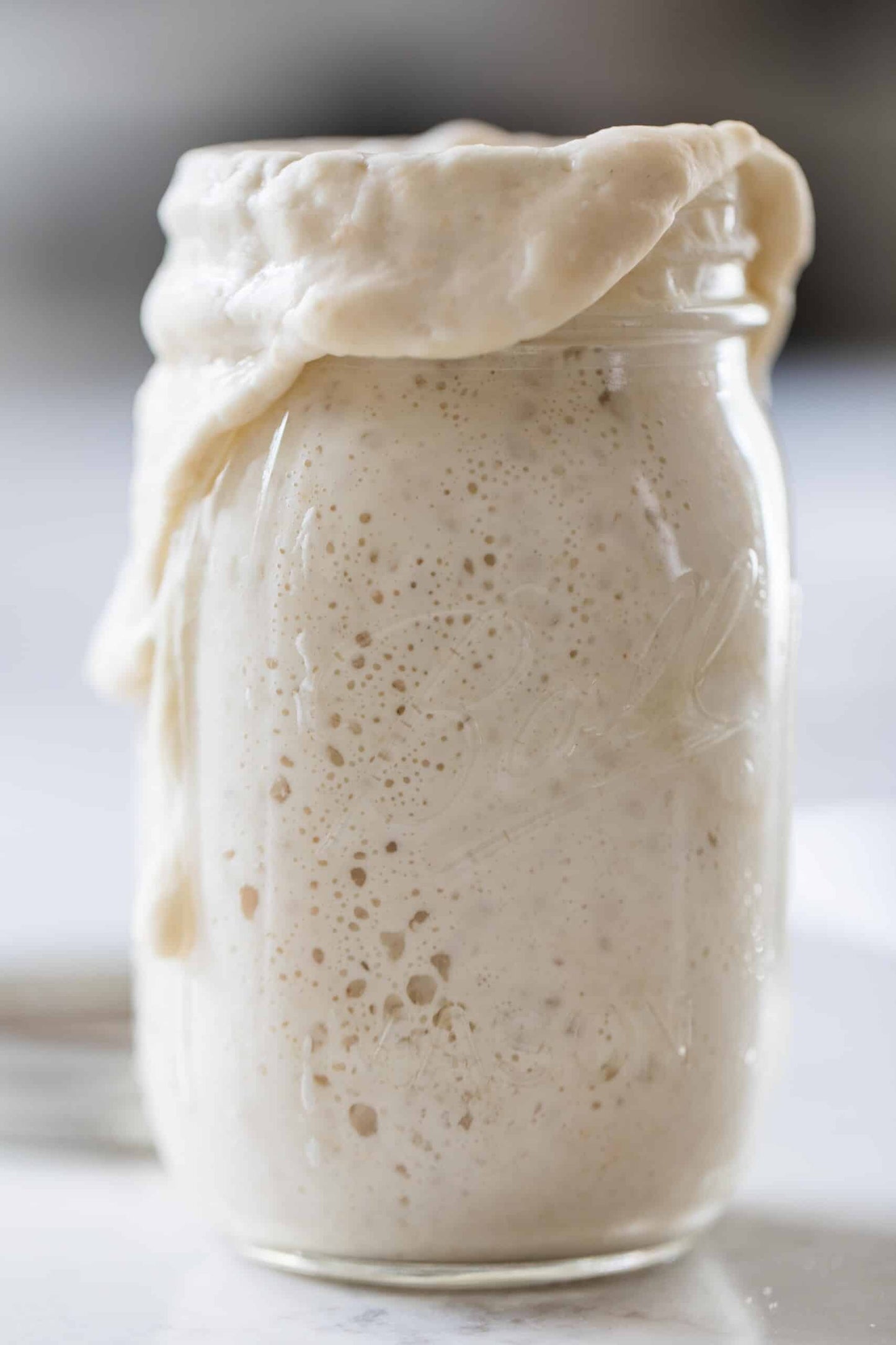 Sourdough Starter | Freeze Dried | San Francisco Style 12gm