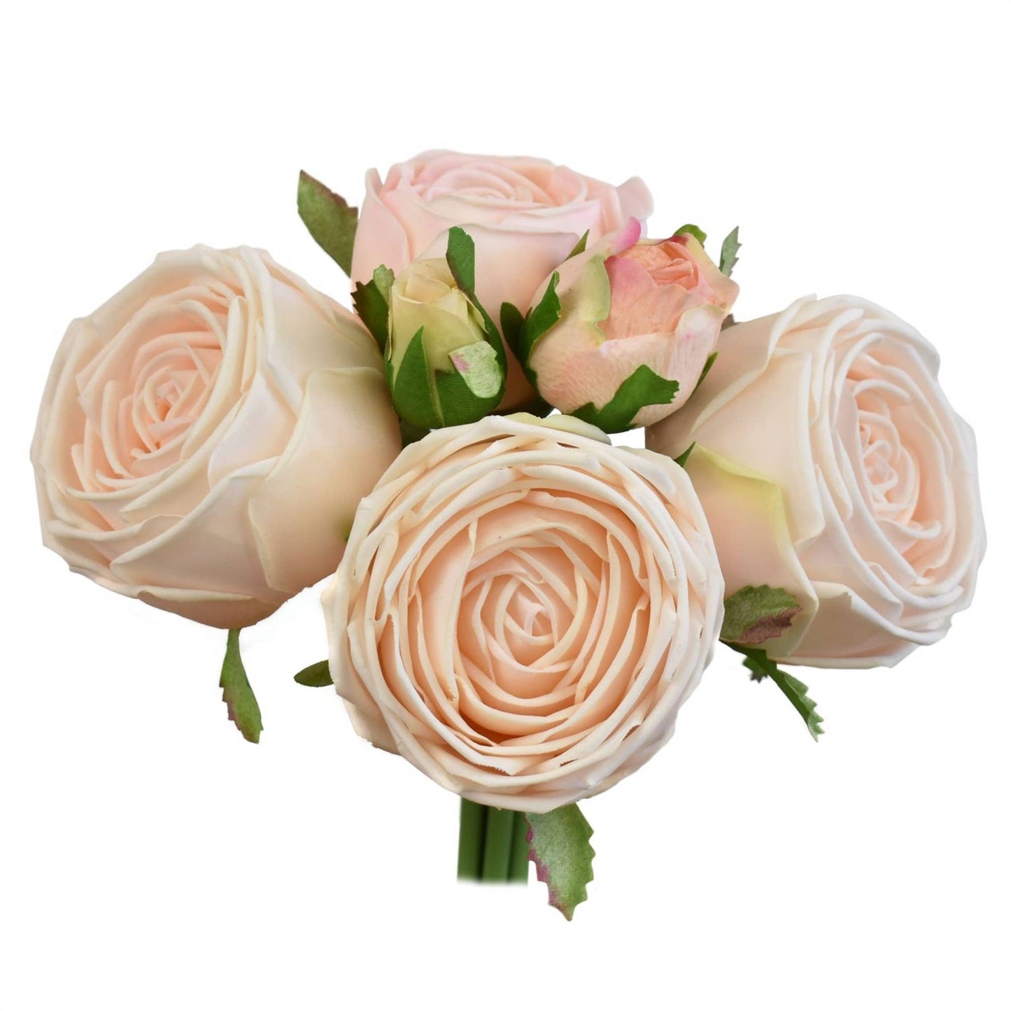 8.5” Fresh Touch Cabbage Rose Bundle - Light Peach