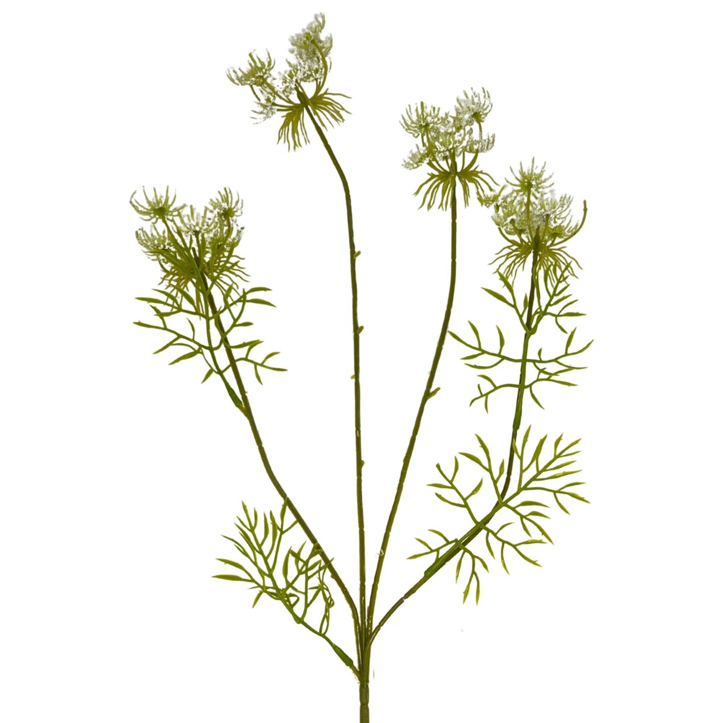 Queen Anne's Lace Spray 32" - White